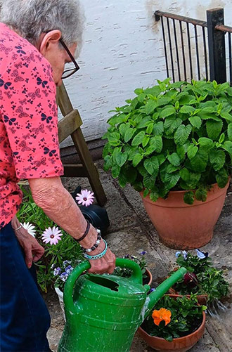 Wells Garden Club